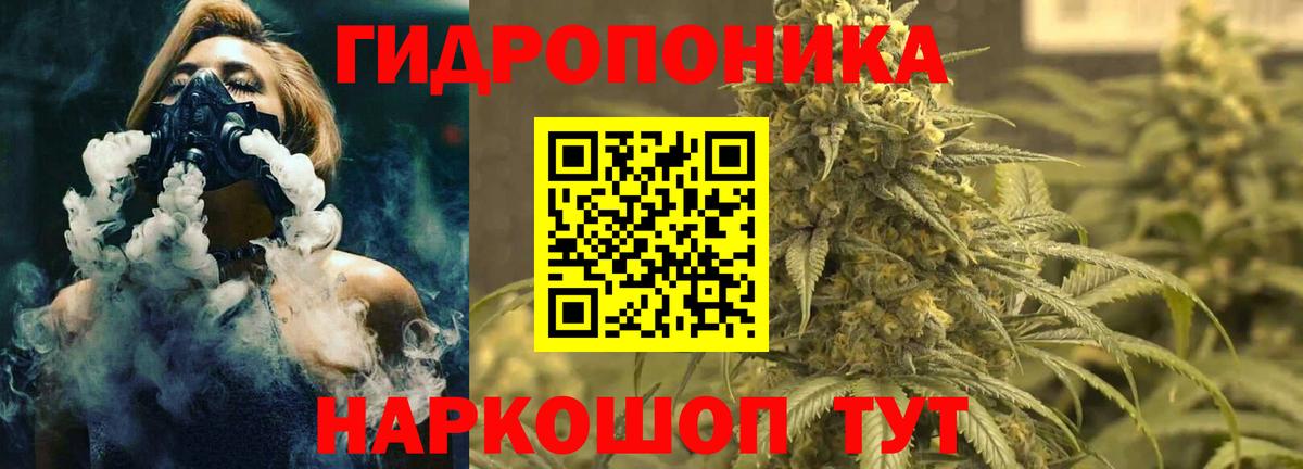 МАРИХУАНА тримм Балтийск